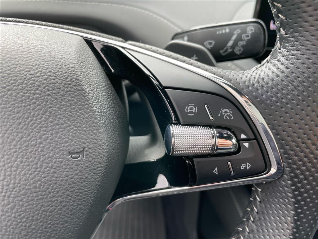 Skoda Enyaq iV billede 12