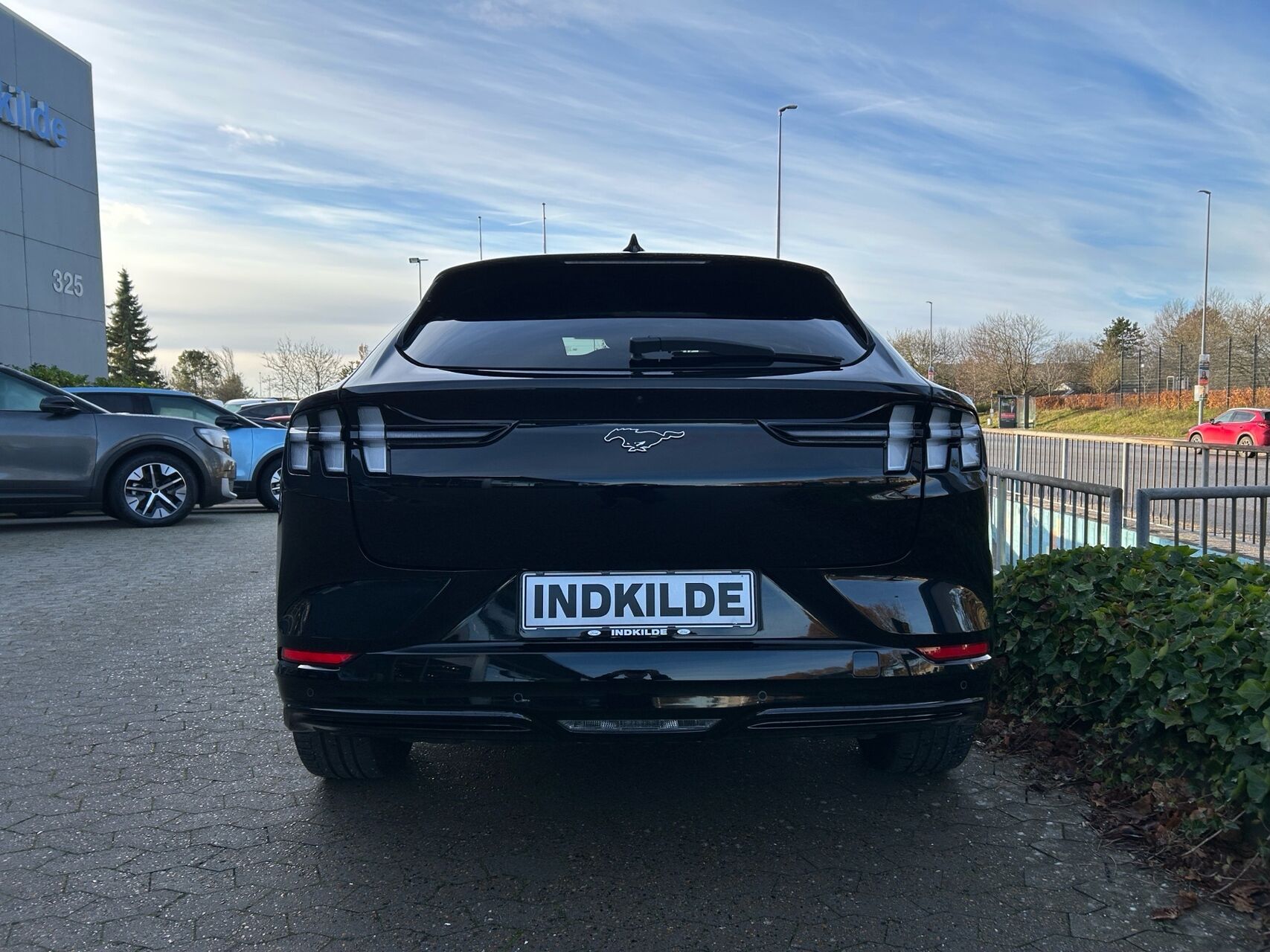 Ford Mustang Mach-E billede 5