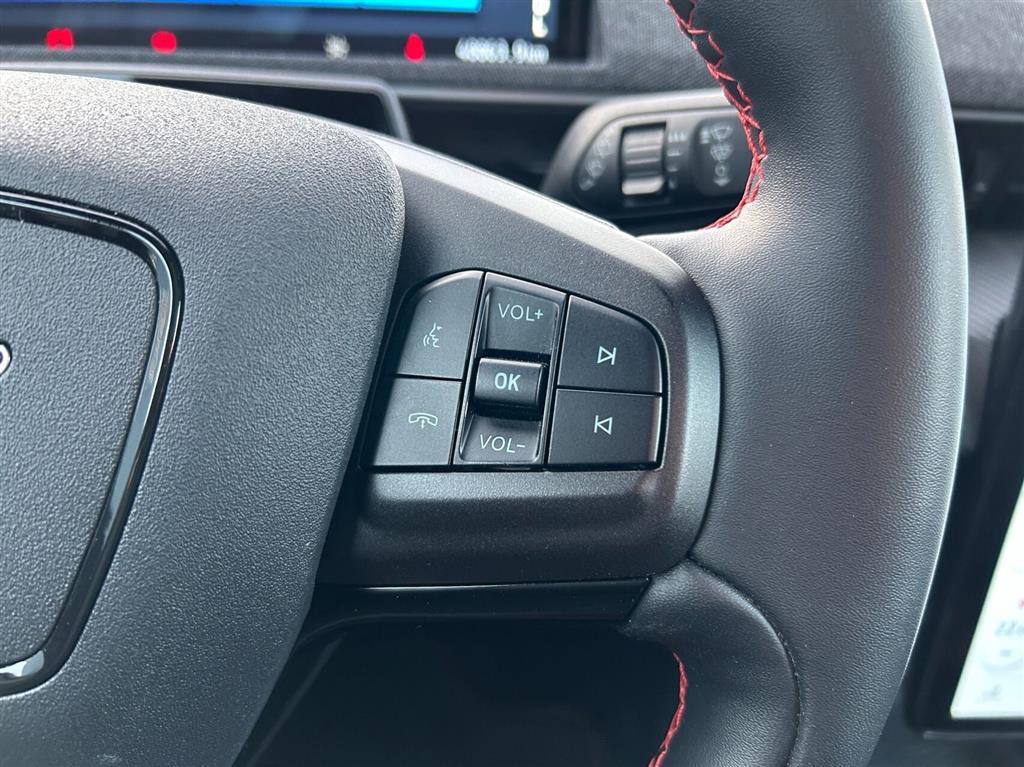 Ford Mustang Mach-E billede 10