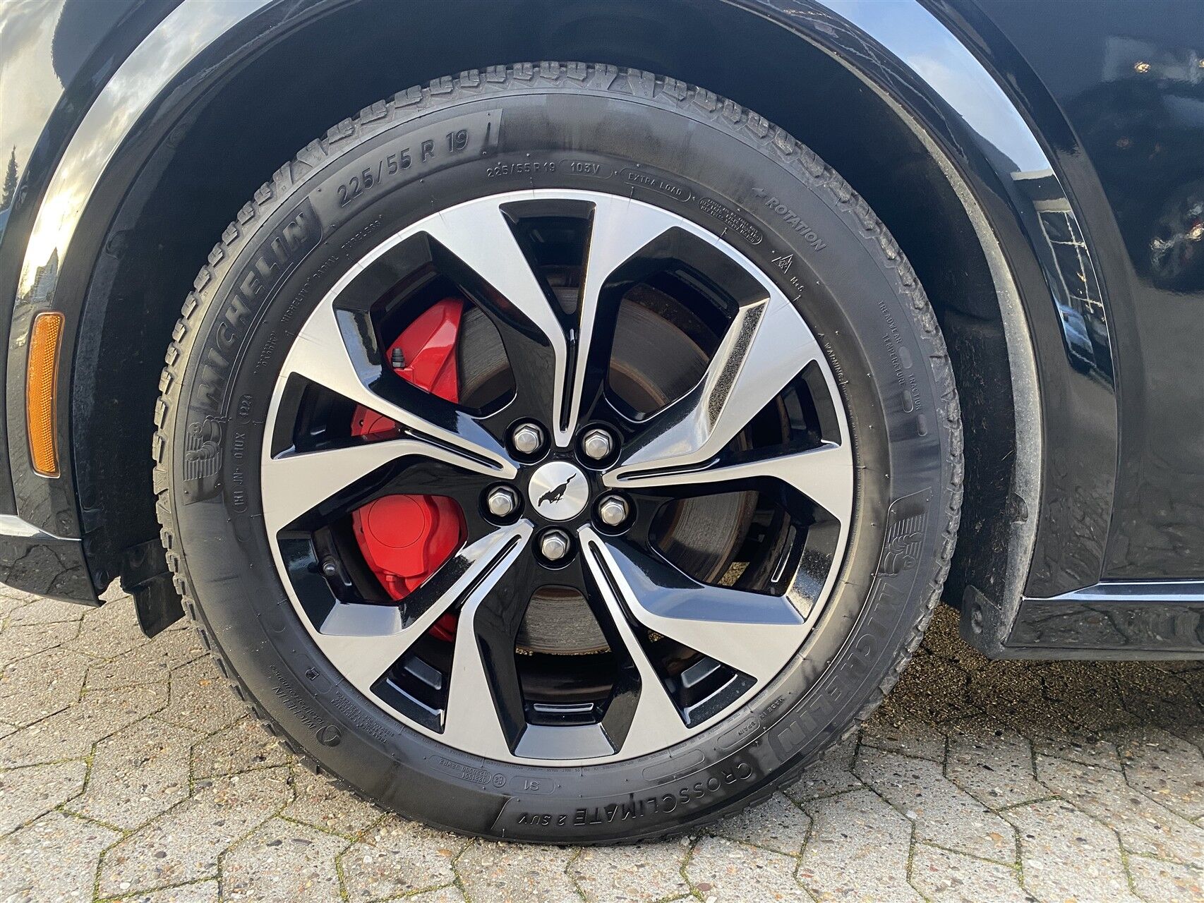 Ford Mustang Mach-E billede 6