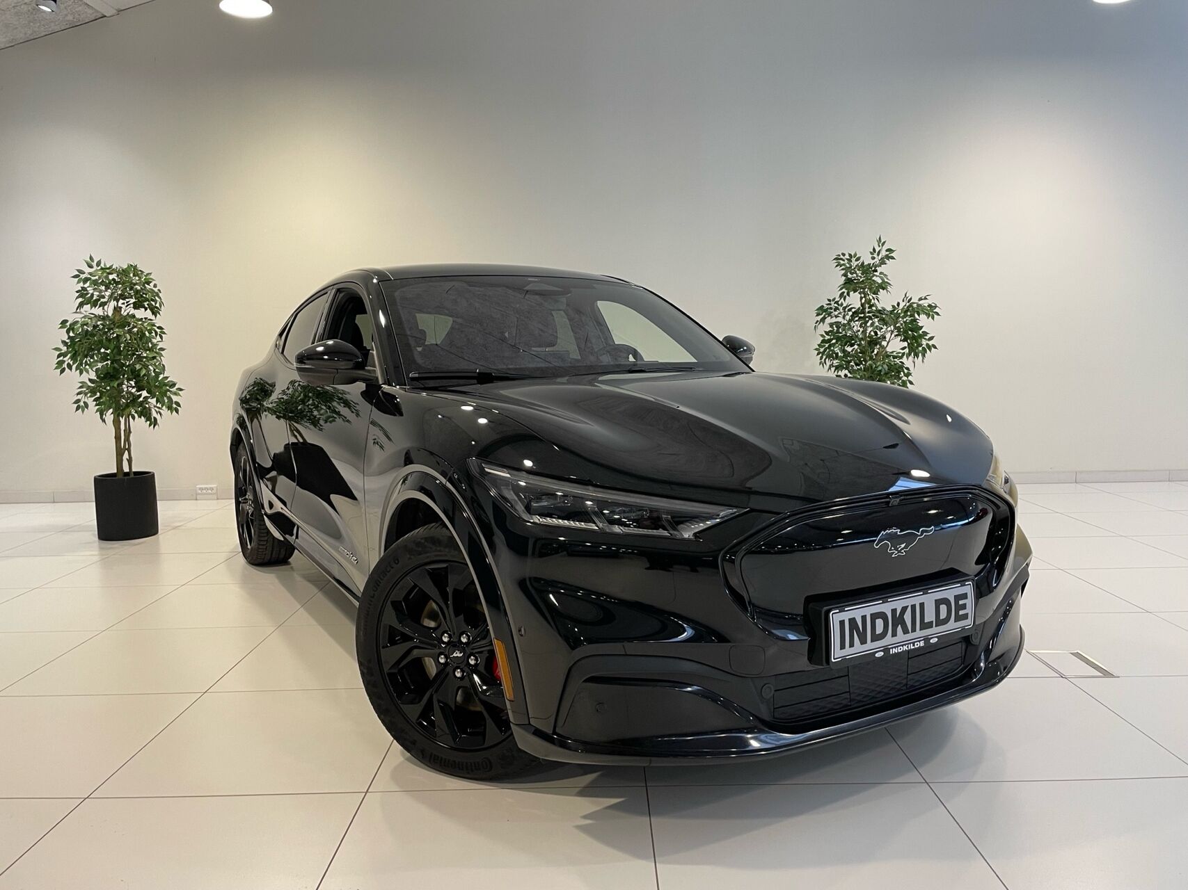 Ford Mustang Mach-E billede 1