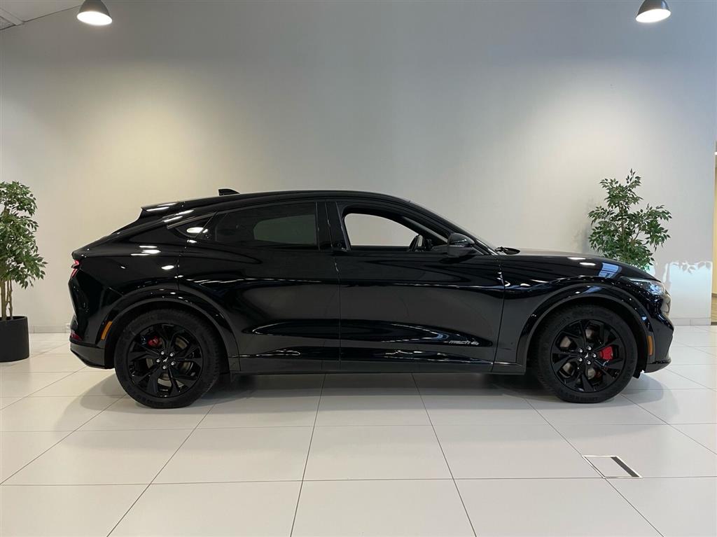 Ford Mustang Mach-E billede 2