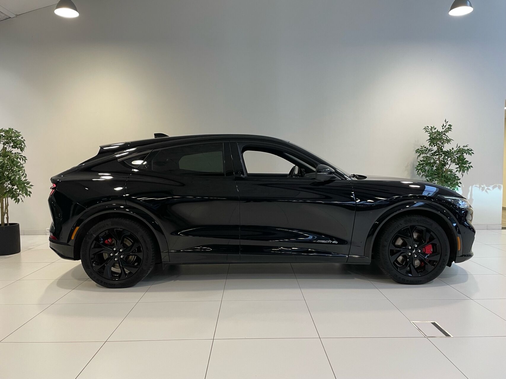 Ford Mustang Mach-E billede 2