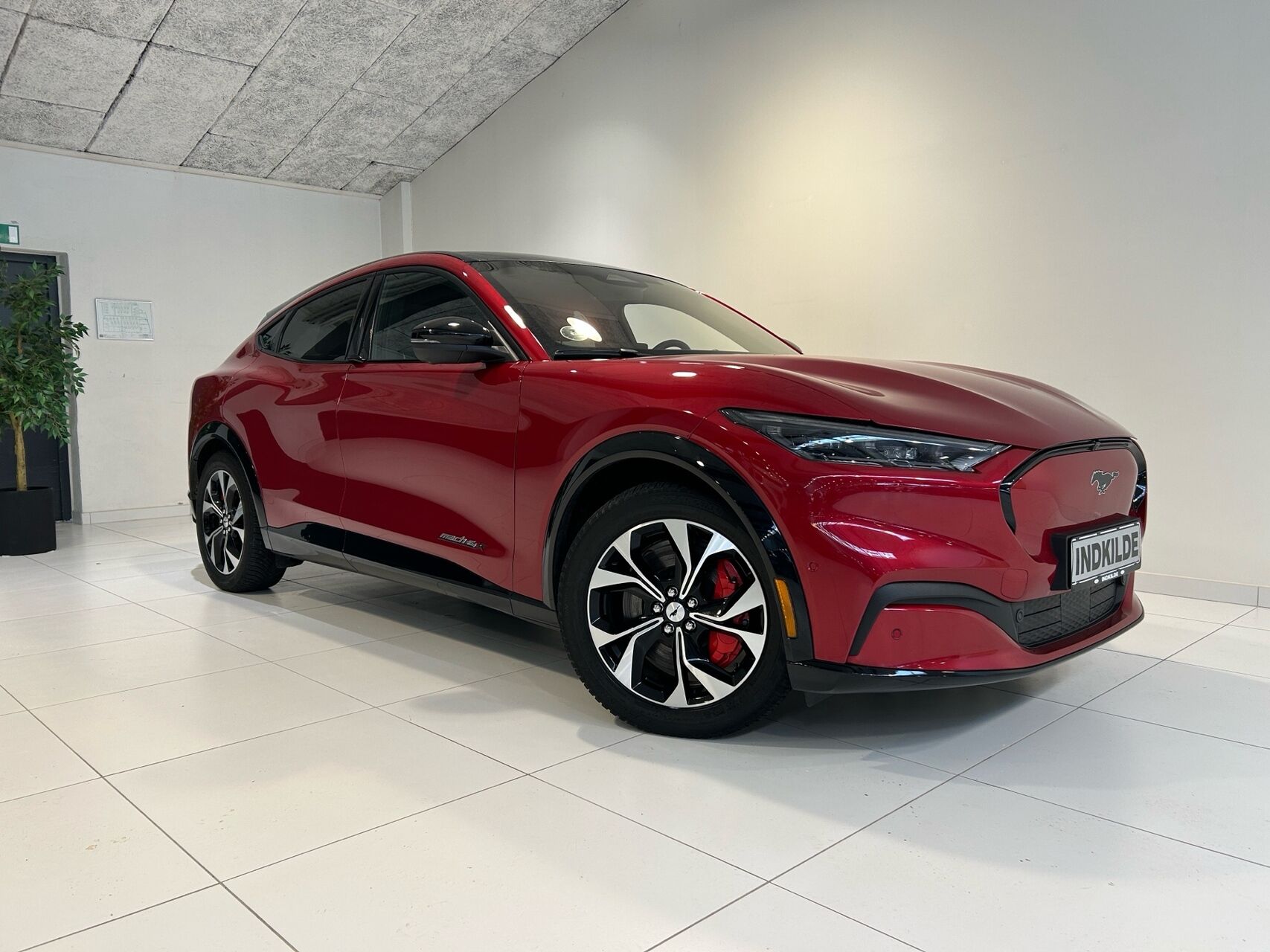 Ford Mustang Mach-E billede 1