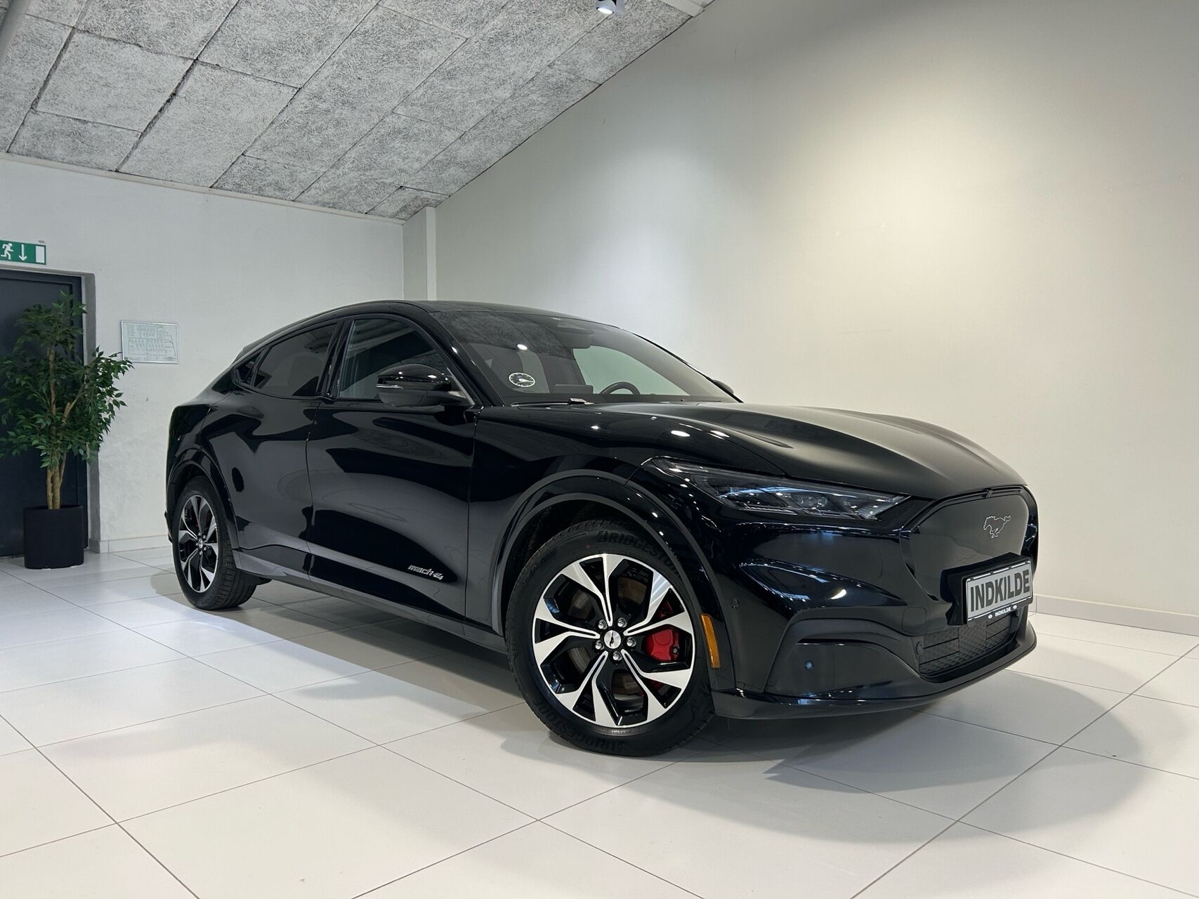 Ford Mustang Mach-E billede 1