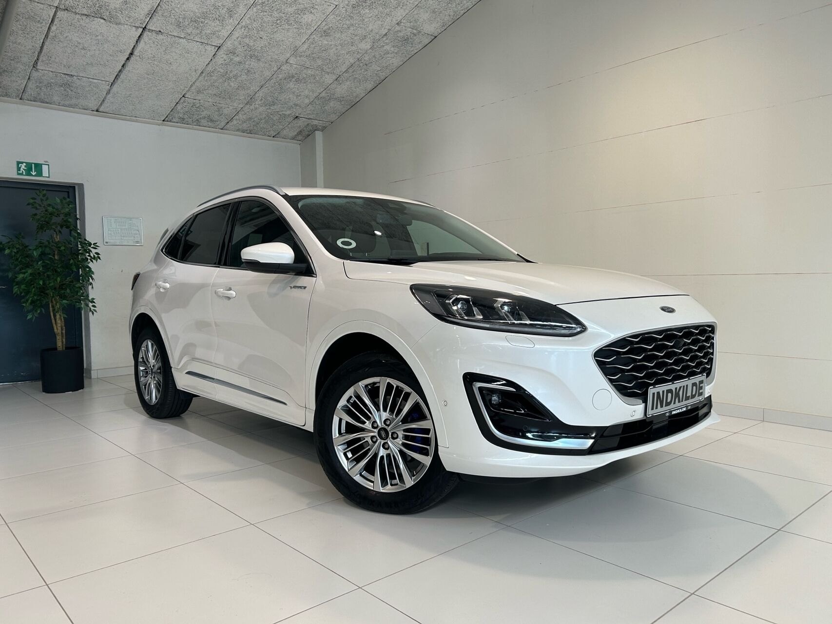 Ford Kuga billede 1